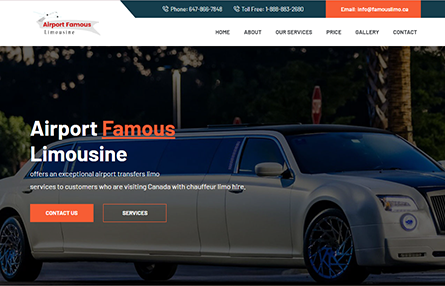 >Airport Famouse limousine